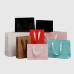250 Art Paper Shopping Bags - Custom Made